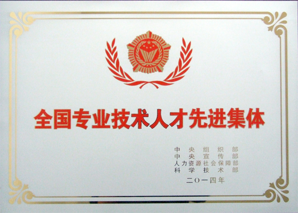 全国专业技术人才先进集体（2014 科技部）