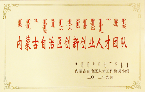 内蒙古自治区创新创业人才团队