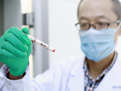乳酸菌资源收集及生物多样性研究